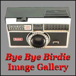 BBB Image Gallery icon2