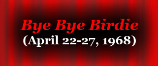 BBB header graphic3