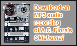 OK Recording icon