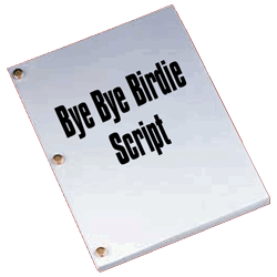 BBB script graphic2